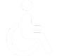 disabilities-icon